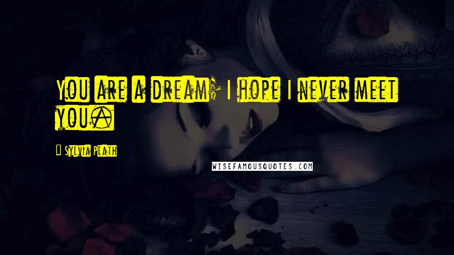 Sylvia Plath Quotes: You are a dream; I hope I never meet you.