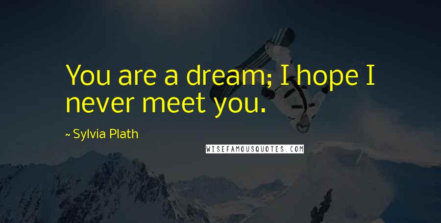 Sylvia Plath Quotes: You are a dream; I hope I never meet you.