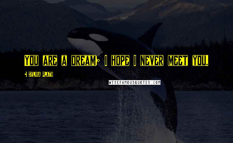 Sylvia Plath Quotes: You are a dream; I hope I never meet you.