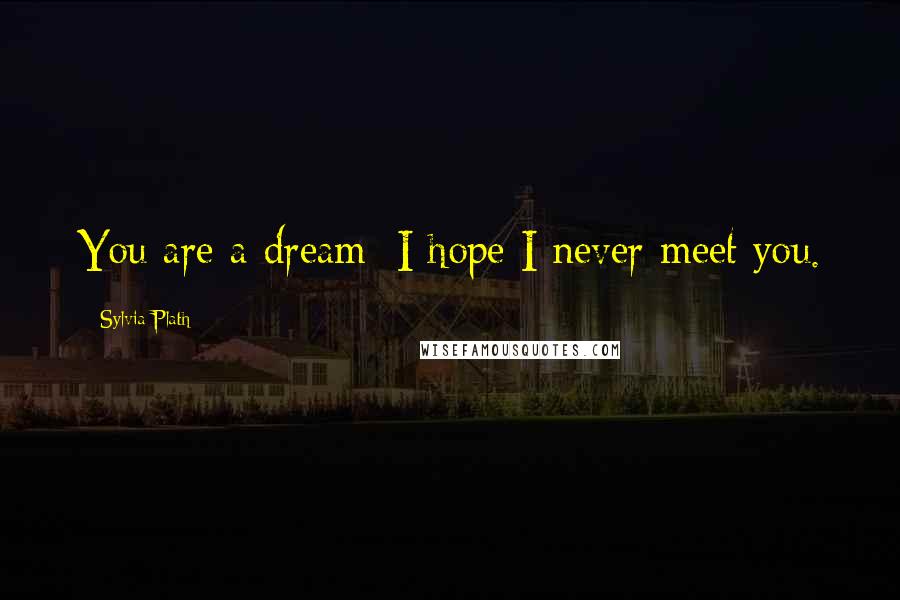 Sylvia Plath Quotes: You are a dream; I hope I never meet you.