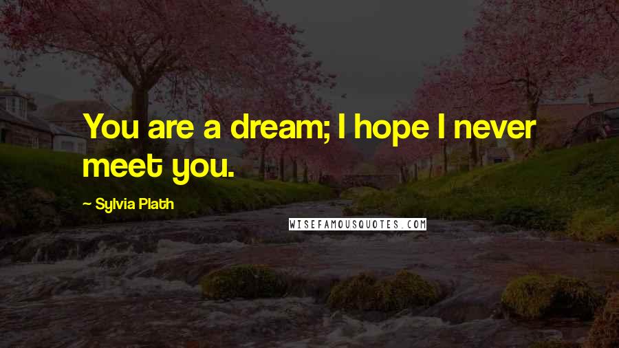 Sylvia Plath Quotes: You are a dream; I hope I never meet you.