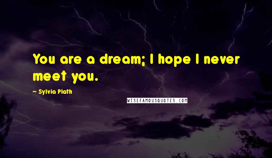Sylvia Plath Quotes: You are a dream; I hope I never meet you.