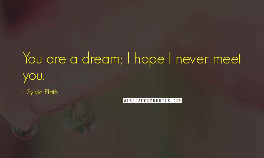 Sylvia Plath Quotes: You are a dream; I hope I never meet you.