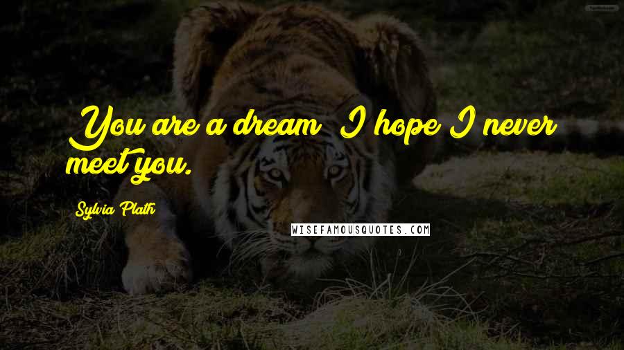 Sylvia Plath Quotes: You are a dream; I hope I never meet you.