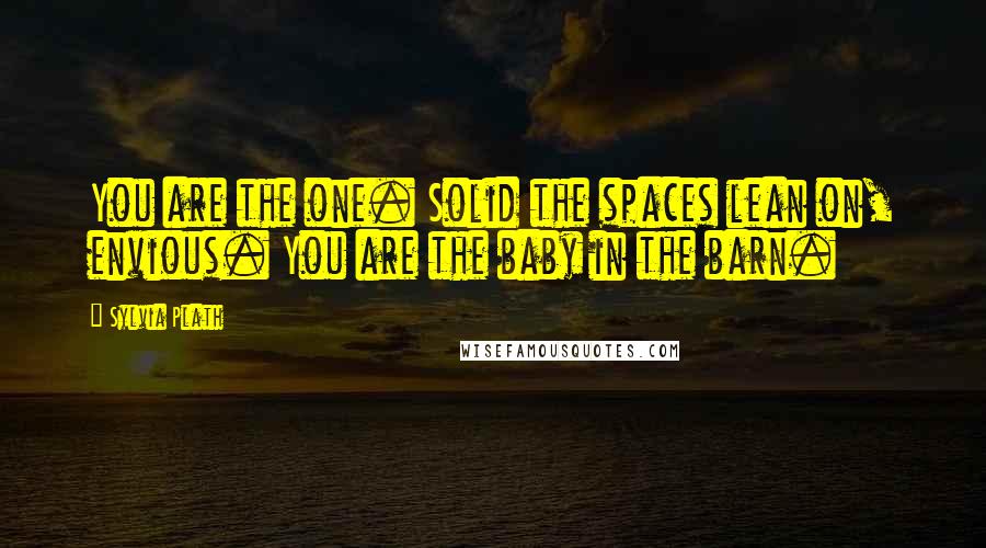 Sylvia Plath Quotes: You are the one. Solid the spaces lean on, envious. You are the baby in the barn.