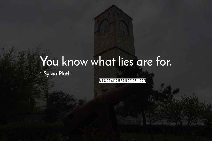 Sylvia Plath Quotes: You know what lies are for.