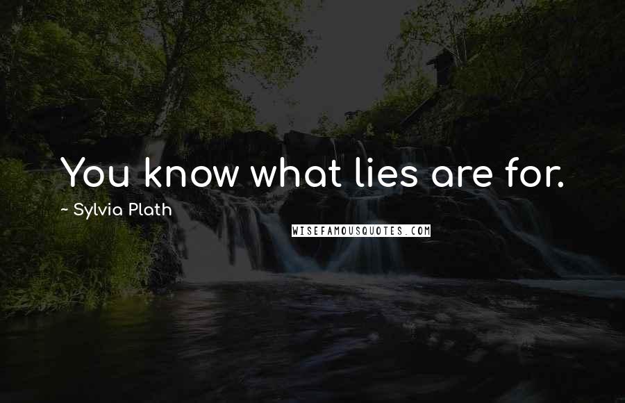 Sylvia Plath Quotes: You know what lies are for.