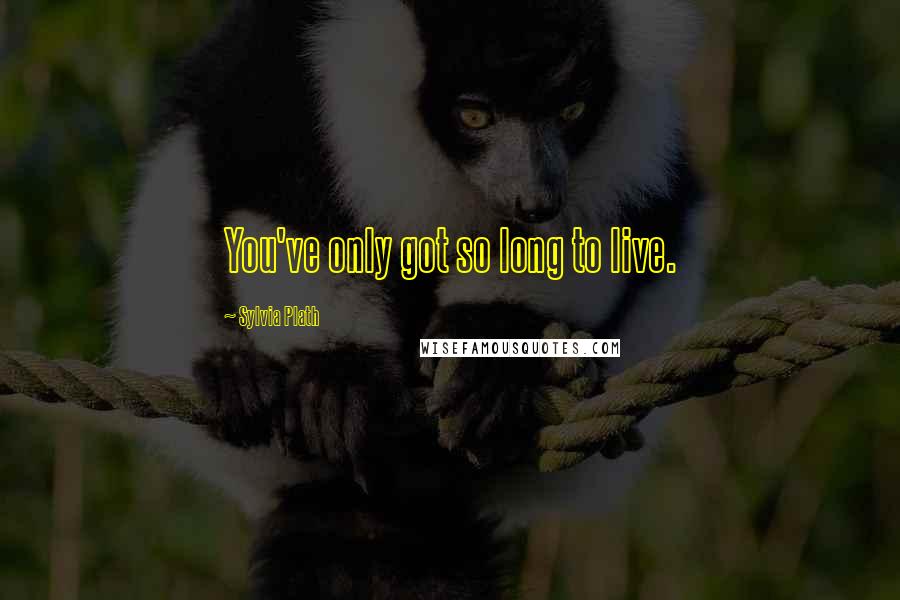 Sylvia Plath Quotes: You've only got so long to live.
