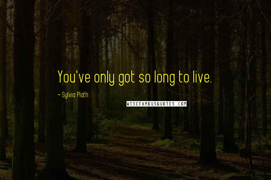 Sylvia Plath Quotes: You've only got so long to live.