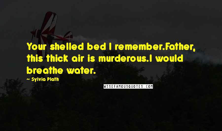 Sylvia Plath Quotes: Your shelled bed I remember.Father, this thick air is murderous.I would breathe water.