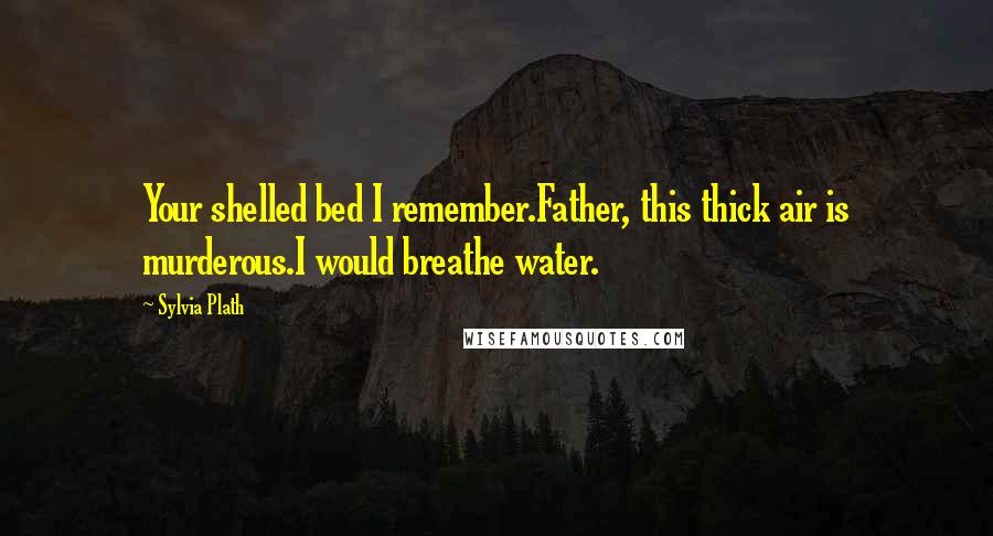 Sylvia Plath Quotes: Your shelled bed I remember.Father, this thick air is murderous.I would breathe water.