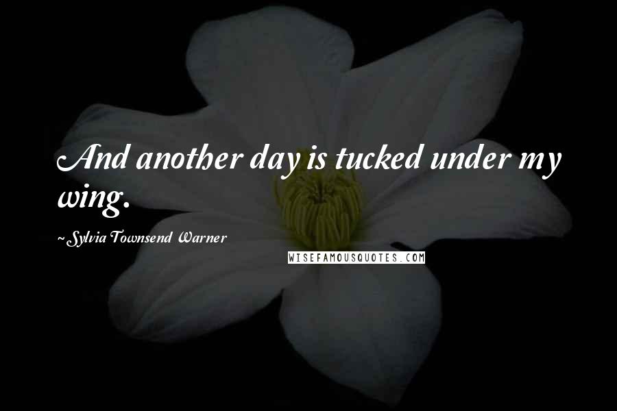 Sylvia Townsend Warner Quotes: And another day is tucked under my wing.