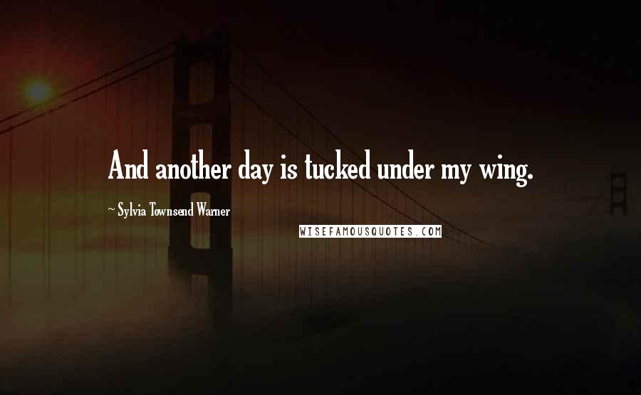 Sylvia Townsend Warner Quotes: And another day is tucked under my wing.