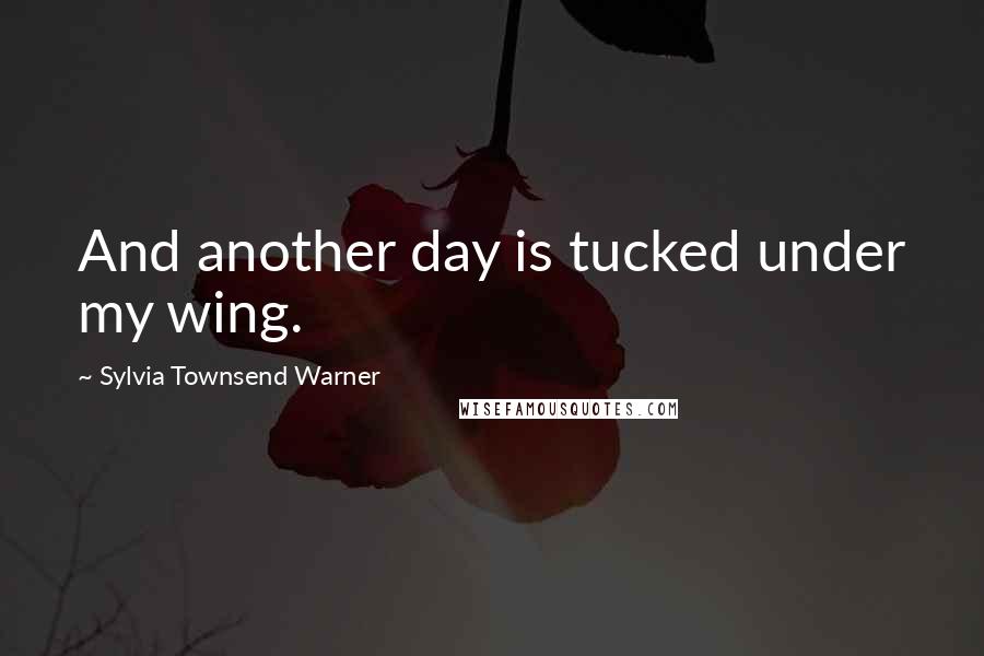 Sylvia Townsend Warner Quotes: And another day is tucked under my wing.