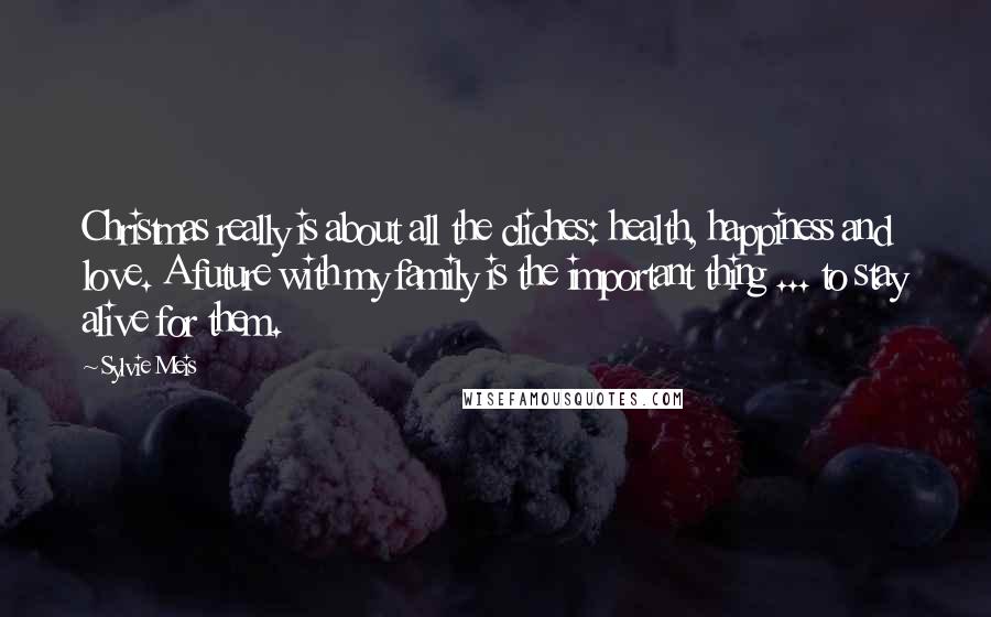 Sylvie Meis Quotes: Christmas really is about all the cliches: health, happiness and love. A future with my family is the important thing ... to stay alive for them.