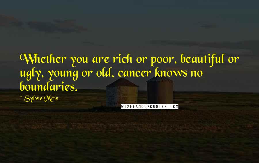 Sylvie Meis Quotes: Whether you are rich or poor, beautiful or ugly, young or old, cancer knows no boundaries.