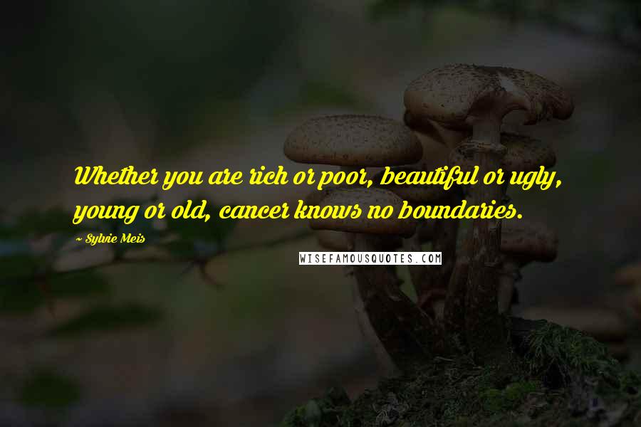 Sylvie Meis Quotes: Whether you are rich or poor, beautiful or ugly, young or old, cancer knows no boundaries.