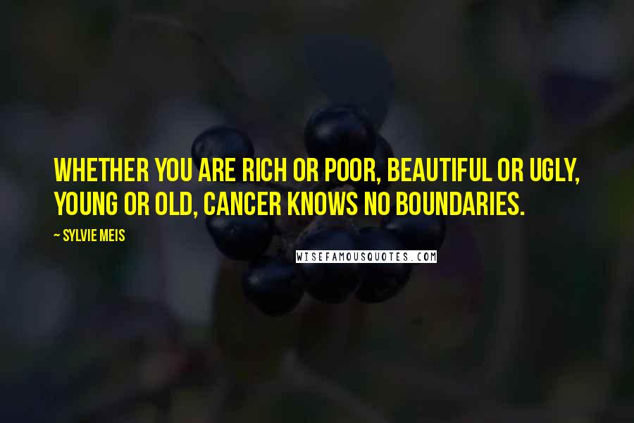 Sylvie Meis Quotes: Whether you are rich or poor, beautiful or ugly, young or old, cancer knows no boundaries.