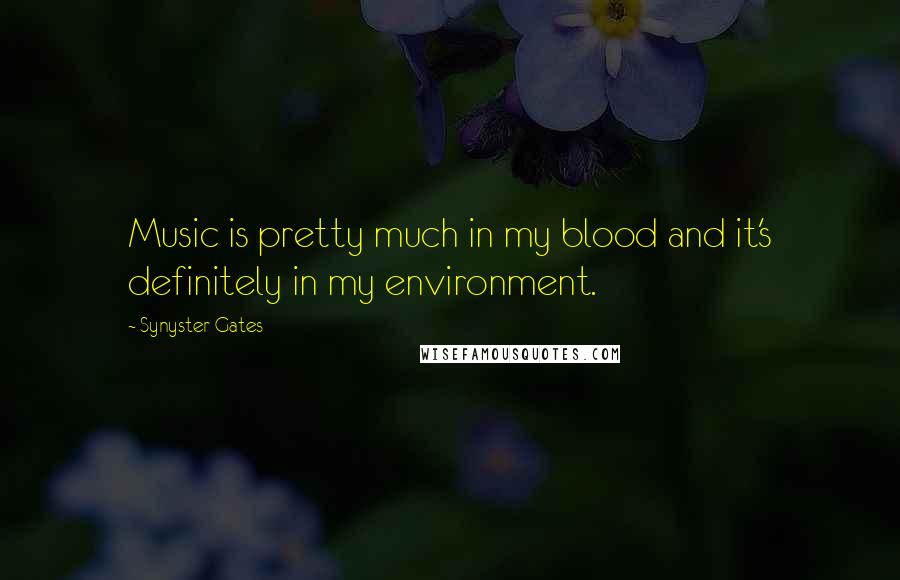 Synyster Gates Quotes: Music is pretty much in my blood and it's definitely in my environment.