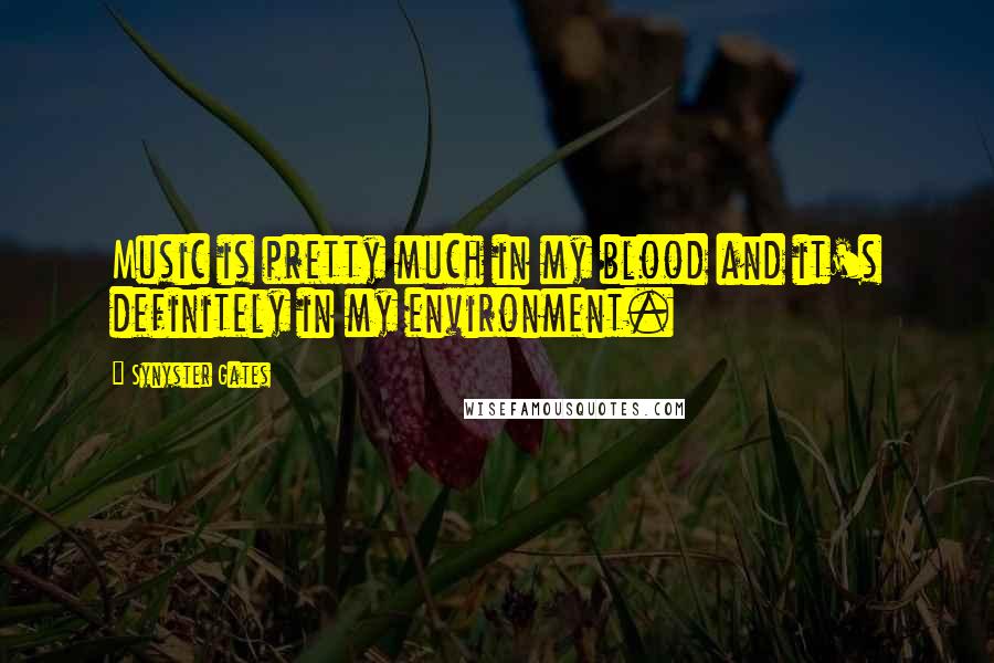 Synyster Gates Quotes: Music is pretty much in my blood and it's definitely in my environment.