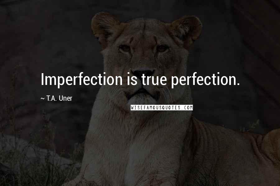 T.A. Uner Quotes: Imperfection is true perfection.