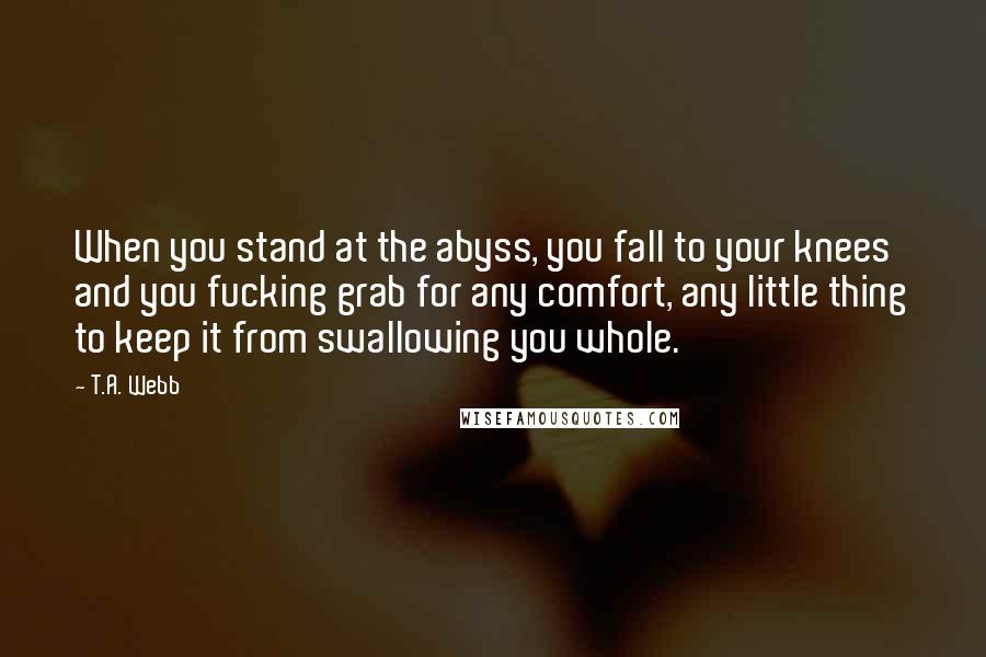 T.A. Webb Quotes: When you stand at the abyss, you fall to your knees and you fucking grab for any comfort, any little thing to keep it from swallowing you whole.