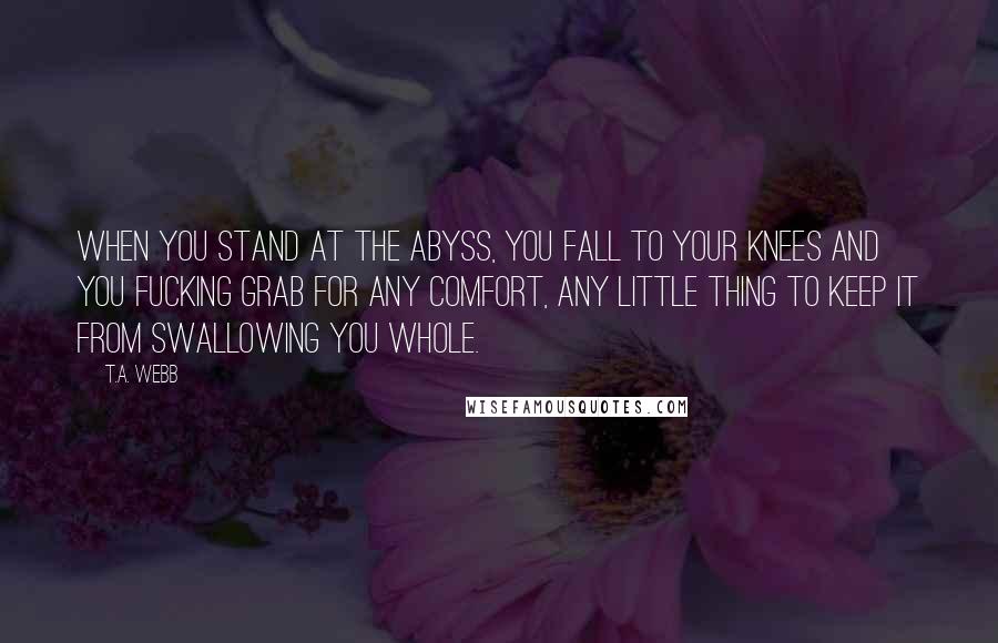 T.A. Webb Quotes: When you stand at the abyss, you fall to your knees and you fucking grab for any comfort, any little thing to keep it from swallowing you whole.