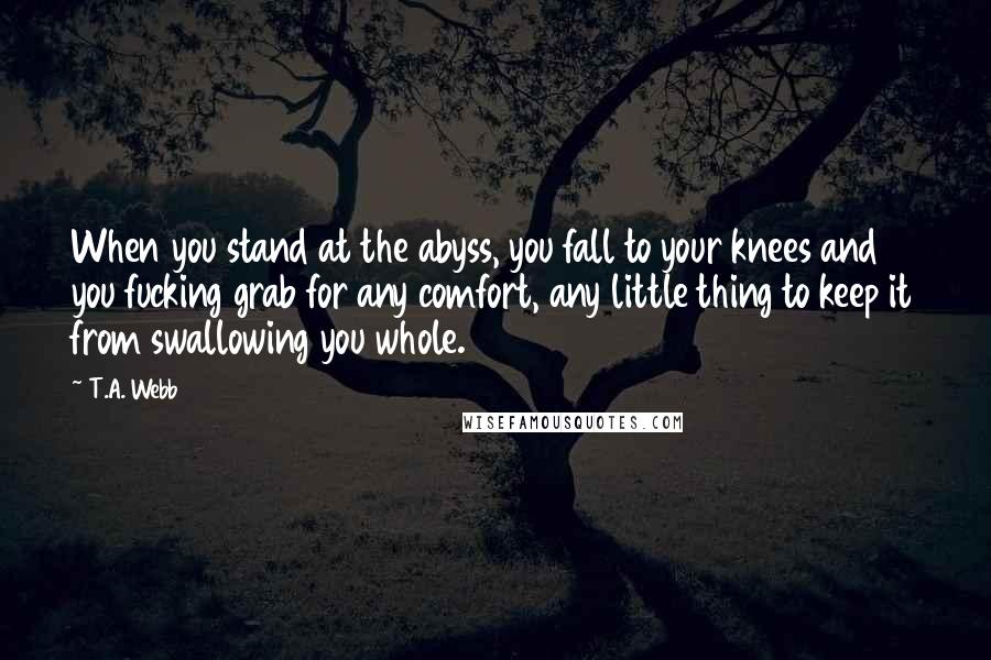 T.A. Webb Quotes: When you stand at the abyss, you fall to your knees and you fucking grab for any comfort, any little thing to keep it from swallowing you whole.