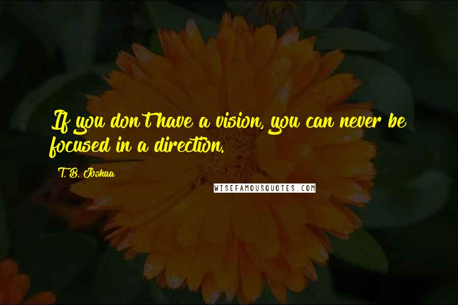 T. B. Joshua Quotes: If you don't have a vision, you can never be focused in a direction.