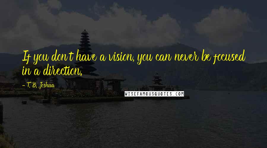 T. B. Joshua Quotes: If you don't have a vision, you can never be focused in a direction.