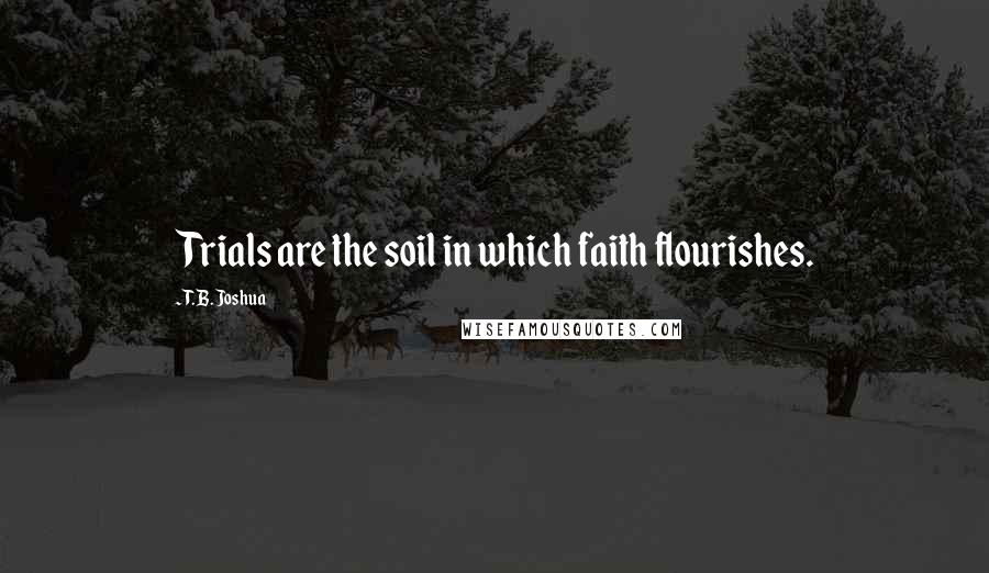 T. B. Joshua Quotes: Trials are the soil in which faith flourishes.