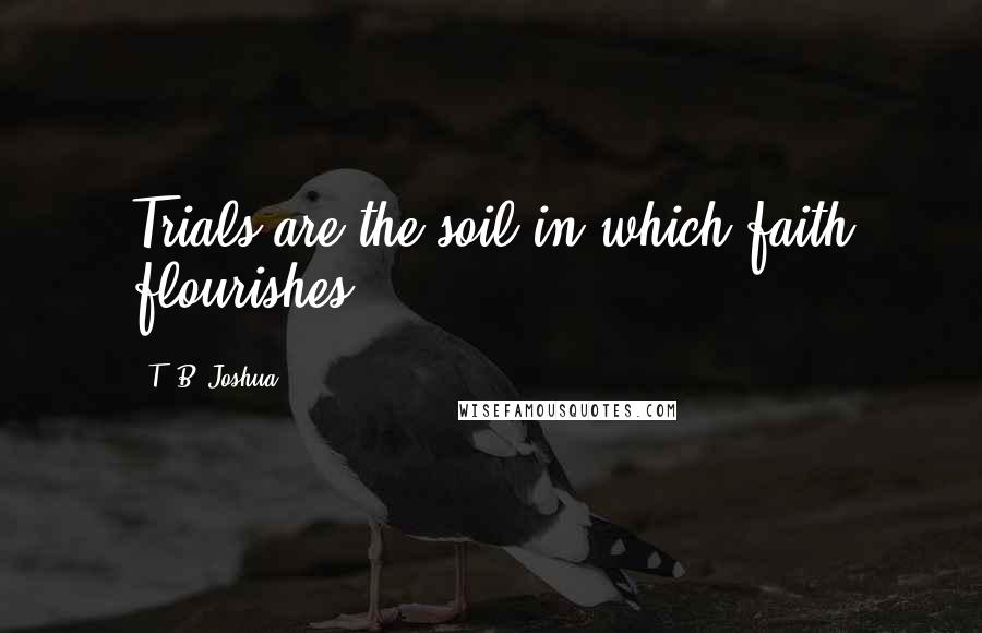 T. B. Joshua Quotes: Trials are the soil in which faith flourishes.