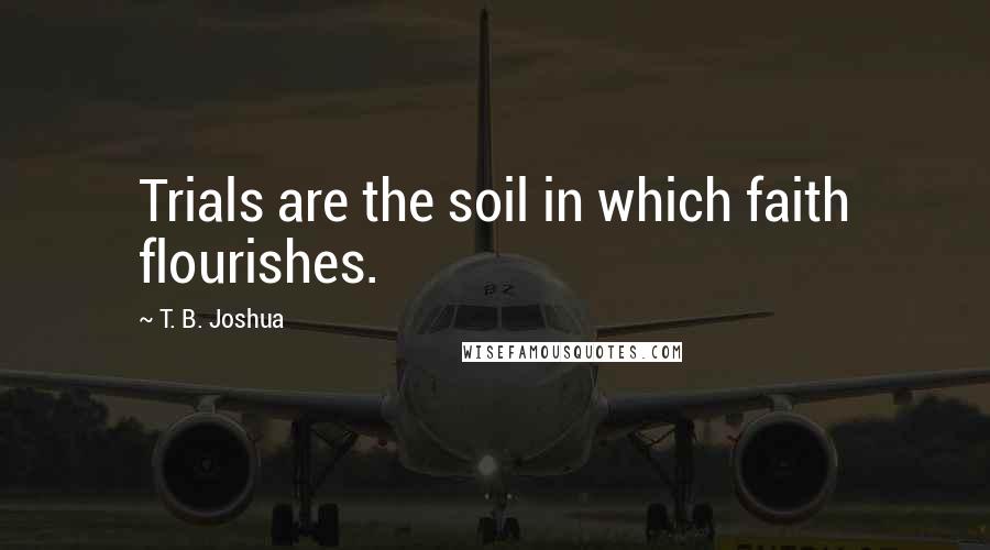 T. B. Joshua Quotes: Trials are the soil in which faith flourishes.