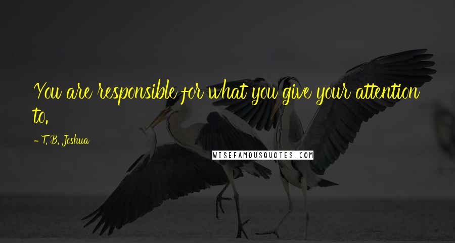 T. B. Joshua Quotes: You are responsible for what you give your attention to.