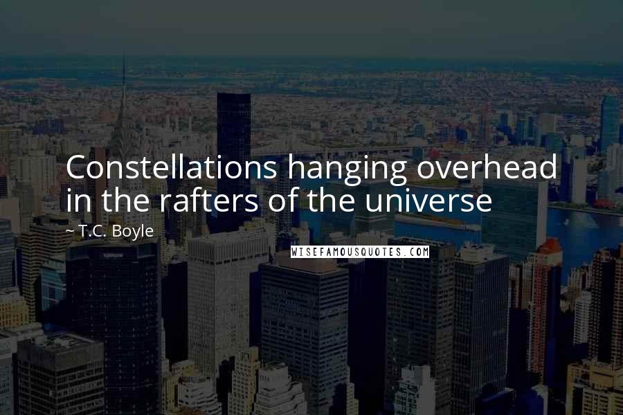 T.C. Boyle Quotes: Constellations hanging overhead in the rafters of the universe