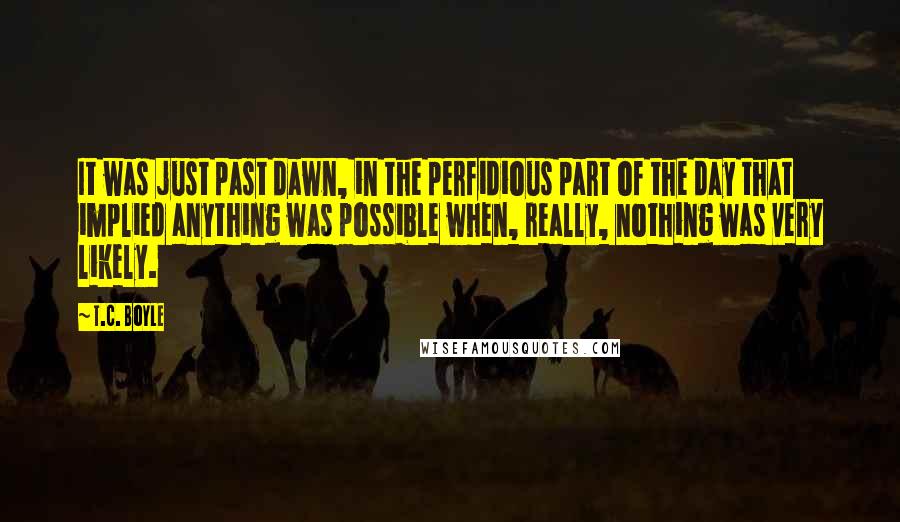 T.C. Boyle Quotes: It was just past dawn, in the perfidious part of the day that implied anything was possible when, really, nothing was very likely.