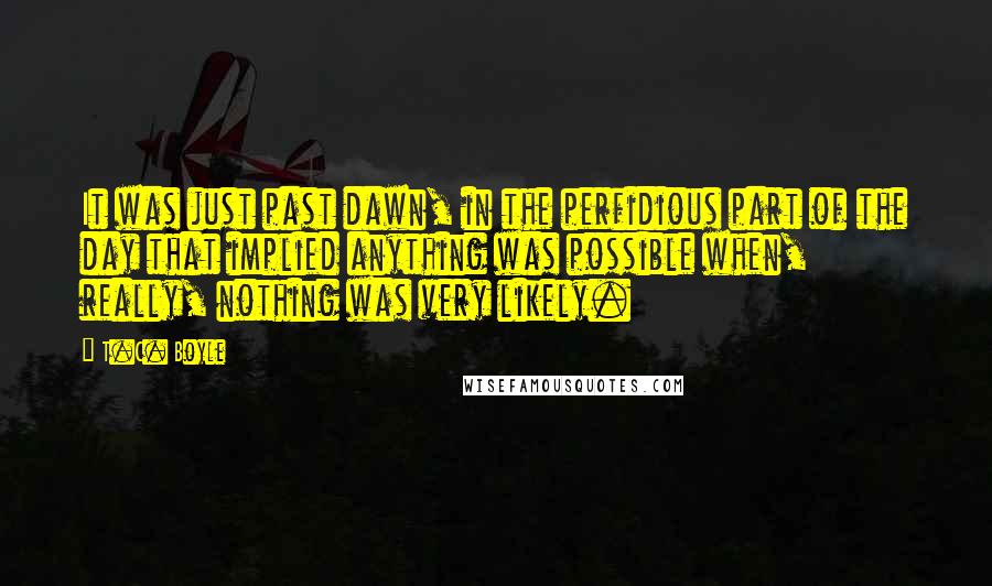 T.C. Boyle Quotes: It was just past dawn, in the perfidious part of the day that implied anything was possible when, really, nothing was very likely.