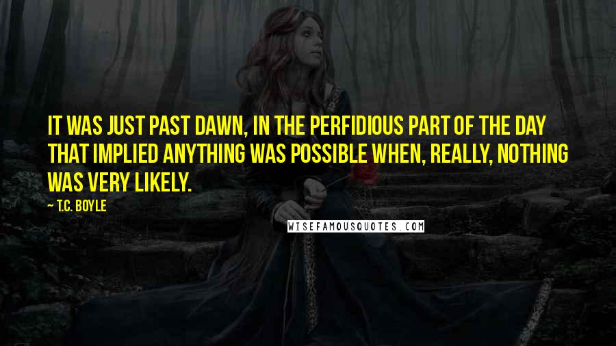 T.C. Boyle Quotes: It was just past dawn, in the perfidious part of the day that implied anything was possible when, really, nothing was very likely.