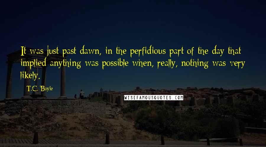 T.C. Boyle Quotes: It was just past dawn, in the perfidious part of the day that implied anything was possible when, really, nothing was very likely.