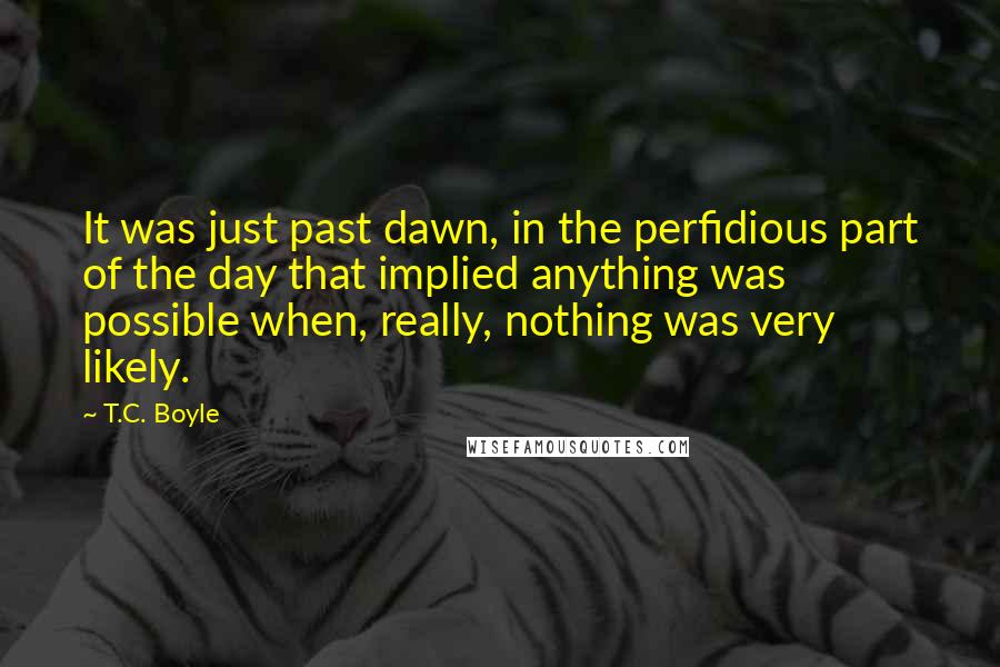 T.C. Boyle Quotes: It was just past dawn, in the perfidious part of the day that implied anything was possible when, really, nothing was very likely.
