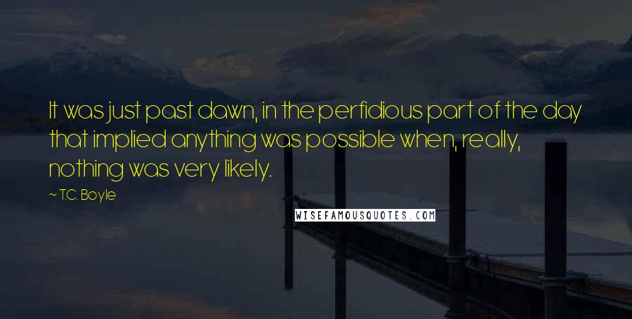 T.C. Boyle Quotes: It was just past dawn, in the perfidious part of the day that implied anything was possible when, really, nothing was very likely.