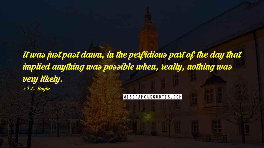 T.C. Boyle Quotes: It was just past dawn, in the perfidious part of the day that implied anything was possible when, really, nothing was very likely.