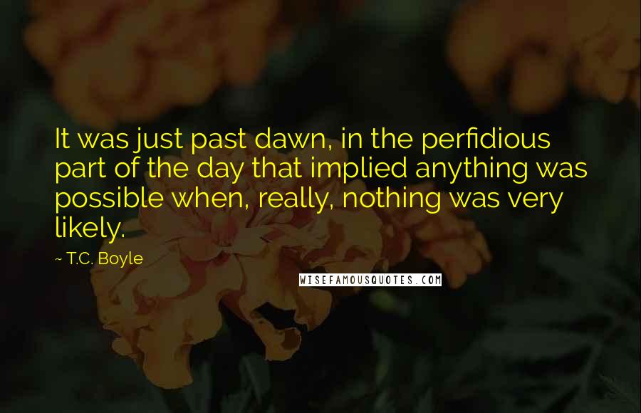 T.C. Boyle Quotes: It was just past dawn, in the perfidious part of the day that implied anything was possible when, really, nothing was very likely.