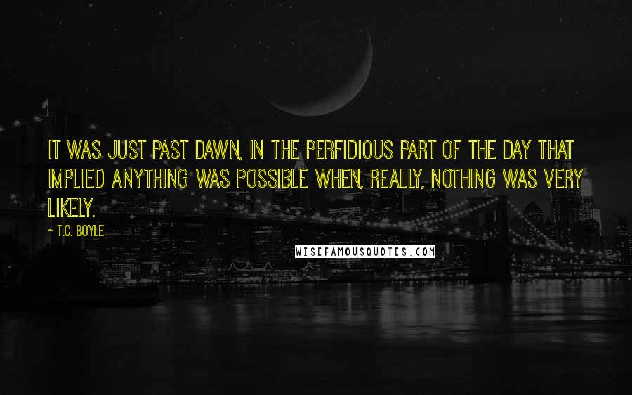 T.C. Boyle Quotes: It was just past dawn, in the perfidious part of the day that implied anything was possible when, really, nothing was very likely.