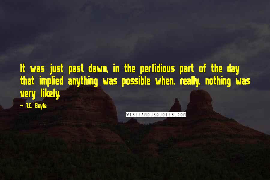 T.C. Boyle Quotes: It was just past dawn, in the perfidious part of the day that implied anything was possible when, really, nothing was very likely.