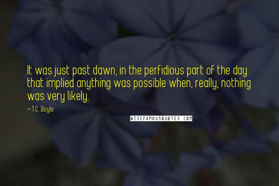 T.C. Boyle Quotes: It was just past dawn, in the perfidious part of the day that implied anything was possible when, really, nothing was very likely.