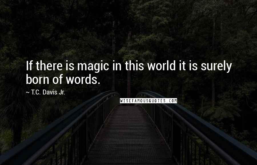 T.C. Davis Jr. Quotes: If there is magic in this world it is surely born of words.