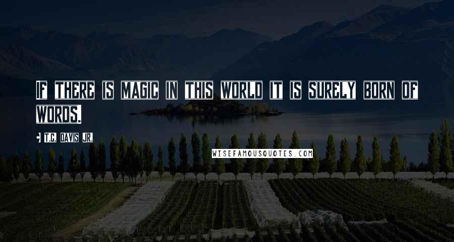 T.C. Davis Jr. Quotes: If there is magic in this world it is surely born of words.