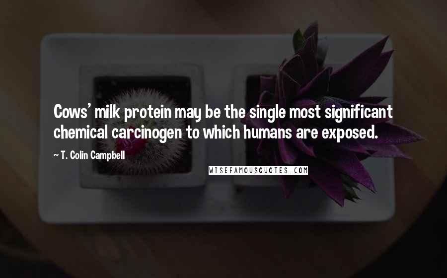 T. Colin Campbell Quotes: Cows' milk protein may be the single most significant chemical carcinogen to which humans are exposed.