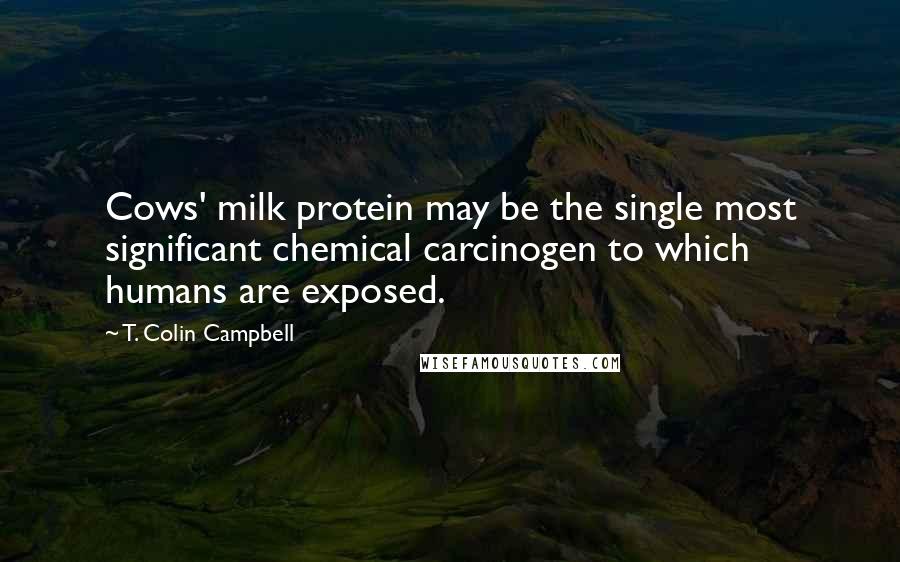 T. Colin Campbell Quotes: Cows' milk protein may be the single most significant chemical carcinogen to which humans are exposed.